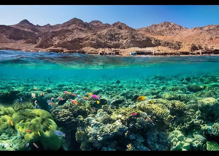 Laguna Pearl Private & Pool Dahab